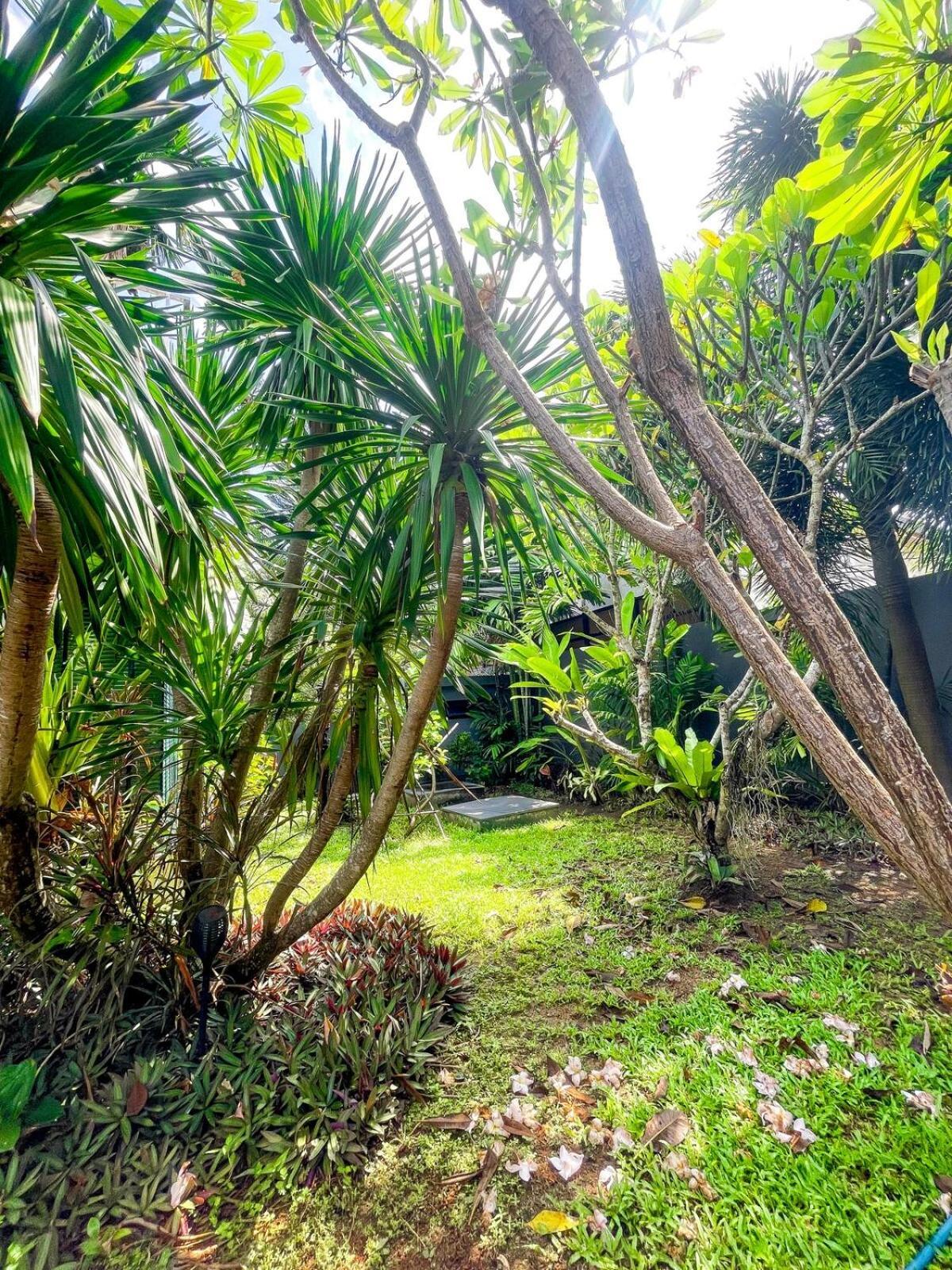 Appartement Tropical Haven 4 Bedroom Pool *